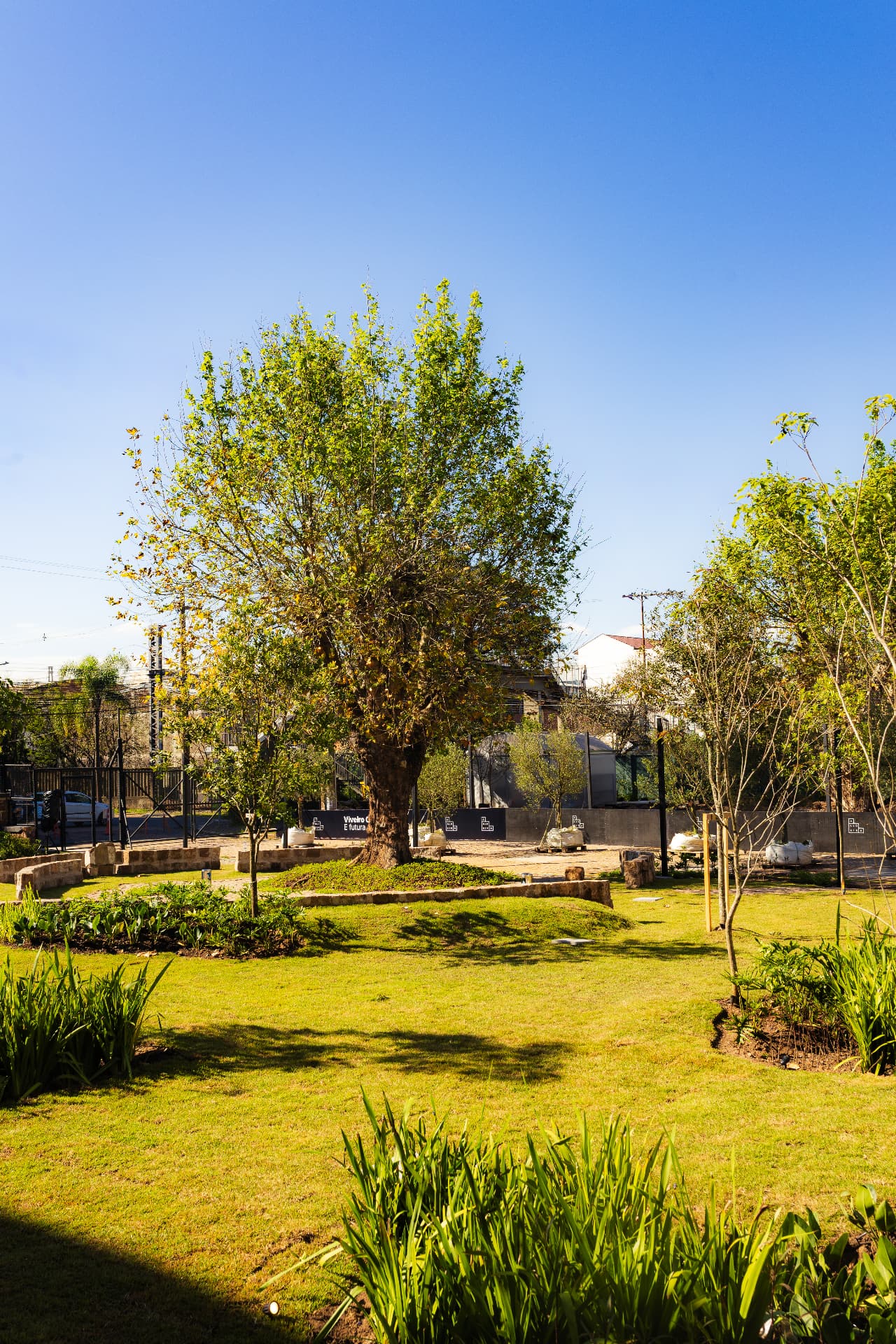 Praça com gramado, canteiros e uma árvore frondosa sob céu azul